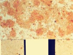 耐火材料玻璃窯用硅磚有哪些性能要求？